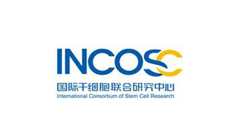 国际干细胞联合研究中心